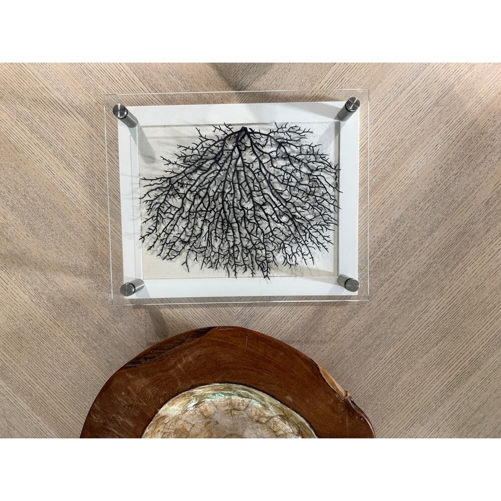 Pottery Barn Coastal Black Fan Shadow Box Wall Art White Floating Glass Frame